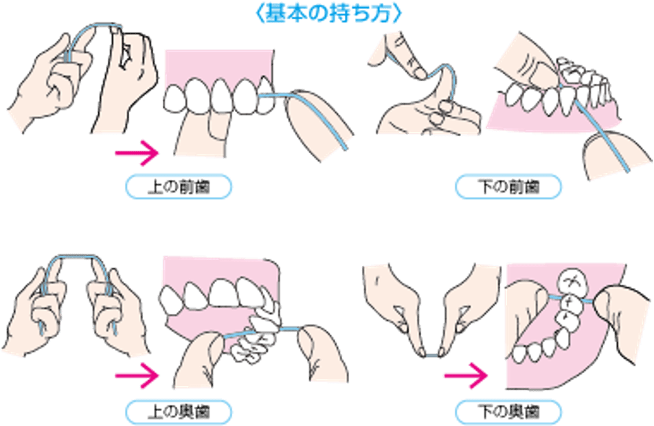 フロスの基本の持ち方:画像