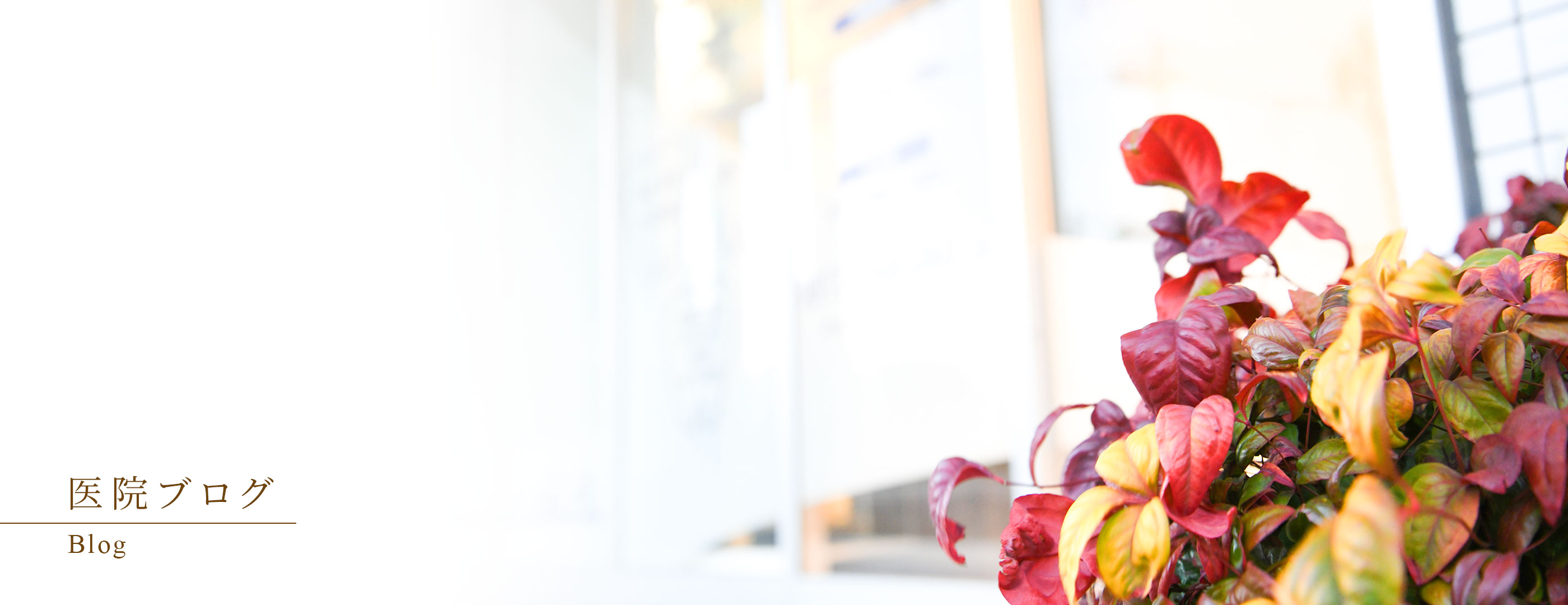 キービジュアル